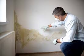 Why You Should Choose Our Mold Remediation Services in Keizer, OR